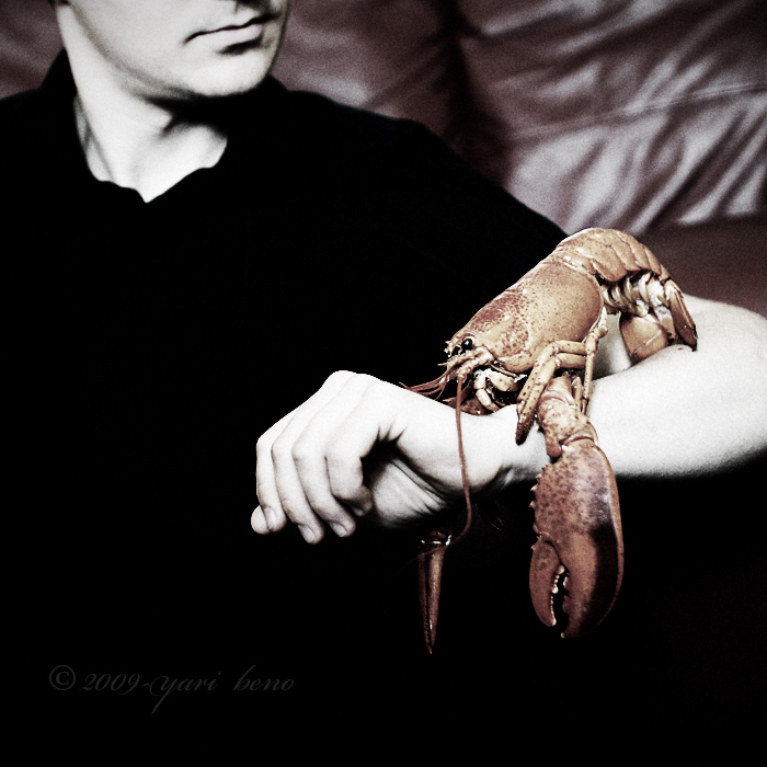  My pet lobster