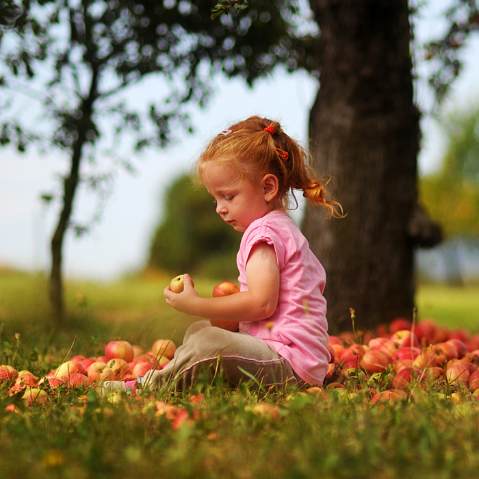 little ginger on apples